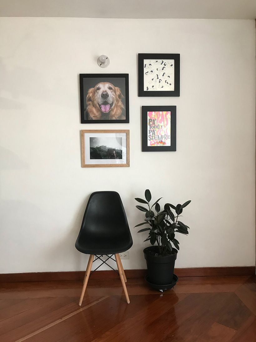 Mi Proyecto del curso: Iniciación al enmarcado 6