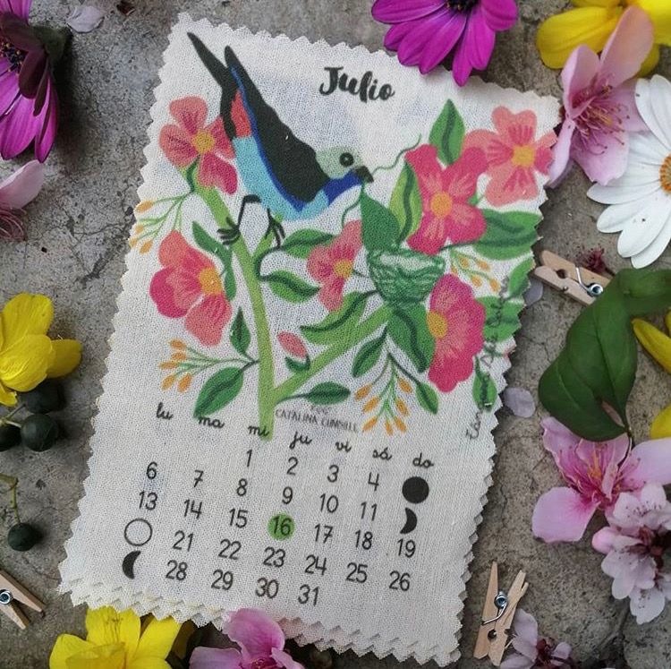 Ilustración para calendario Pajarito de Mimbre.