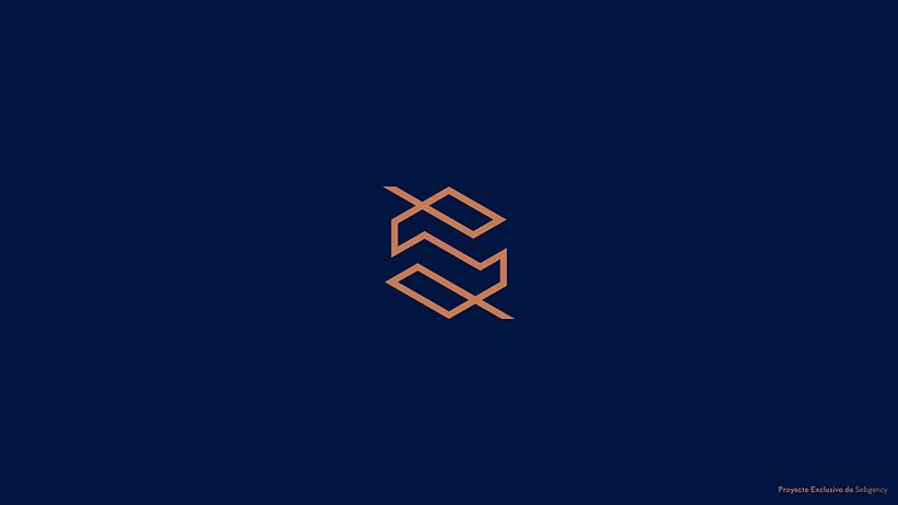 Mi Proyecto del curso: Principios de conceptualización y branding 0