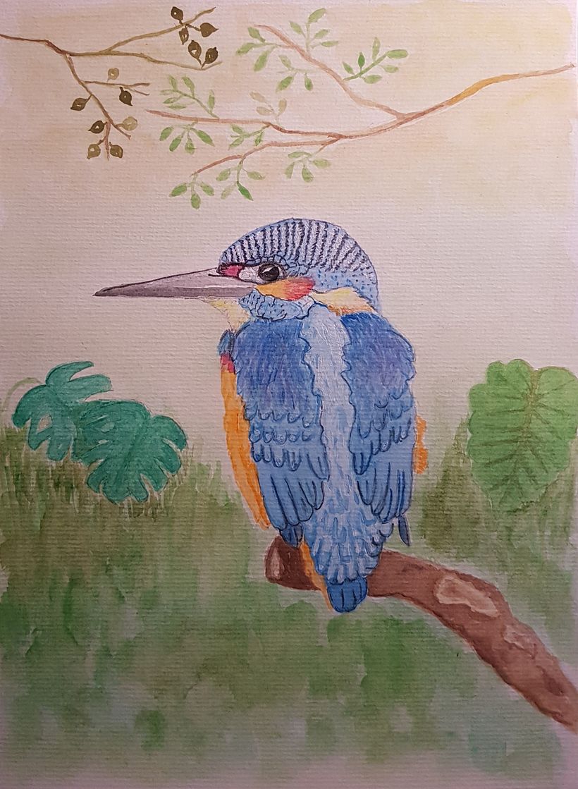 Mi Proyecto del curso: Ilustración naturalista de aves con acuarela 1