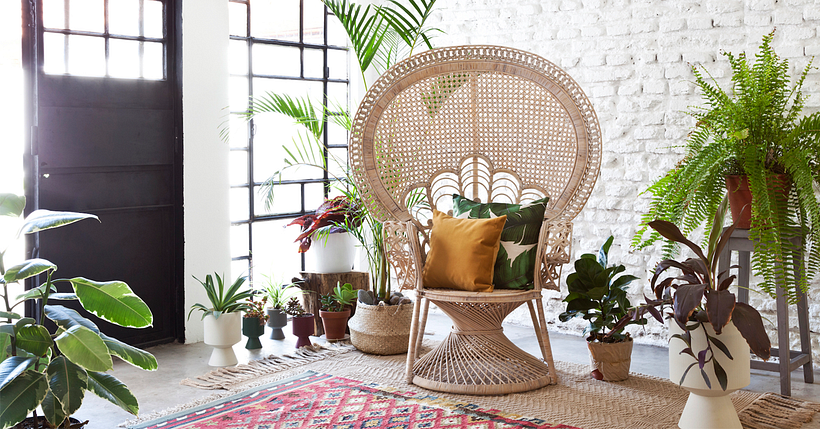 Sofía Saraví O'Keefe