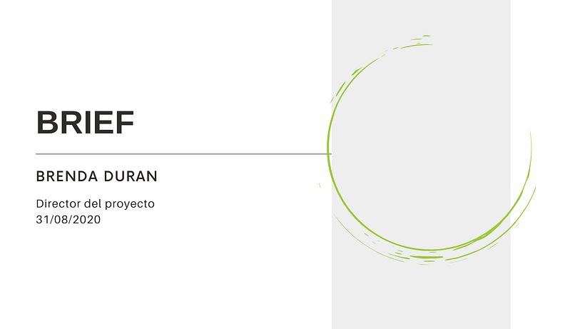 Mi Proyecto del curso: El brief: técnicas y herramientas para su creación 0