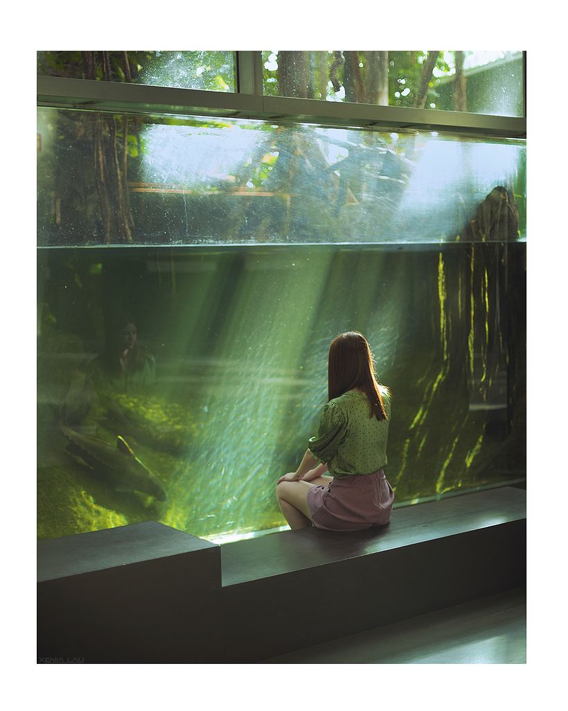 Personal Works 6