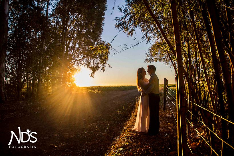 NadiaDSpringer Fotografia 11