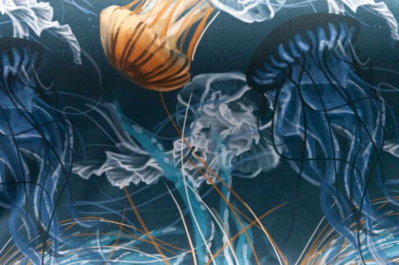 Branding, diseño web y ilustración textil para Emociones Brand 5