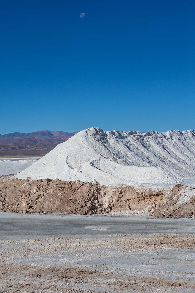 White Gold 8