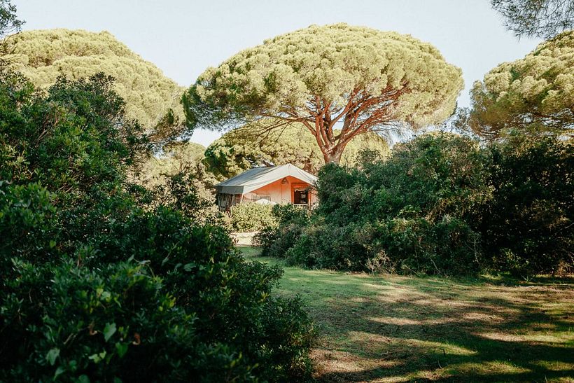 Jabalina Country Tents - Art Direction