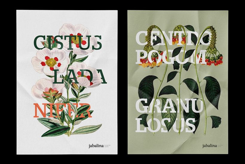 Jabalina Country Tents - Art Direction