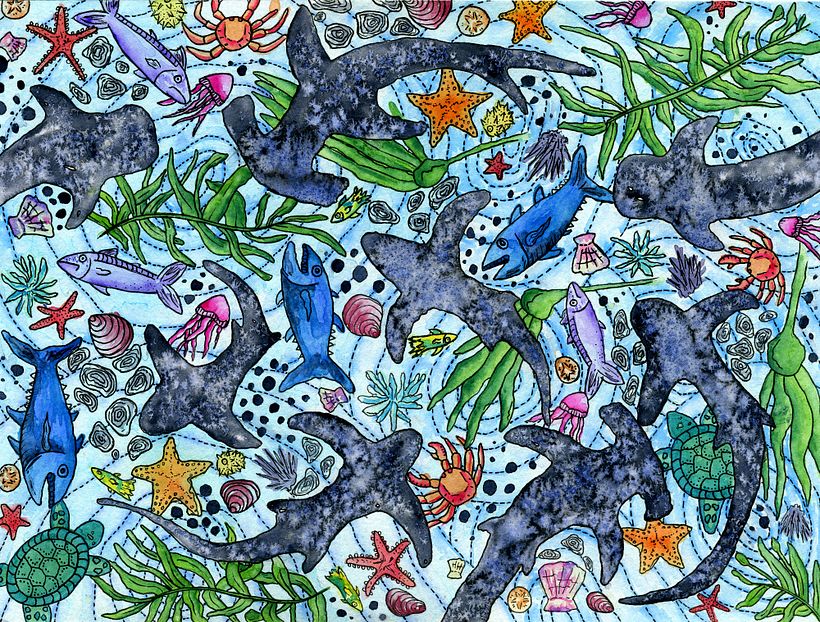 Sharks in the water 0