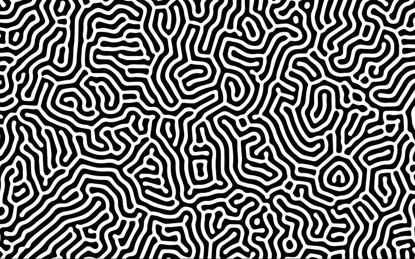 Selina Music Studios  2