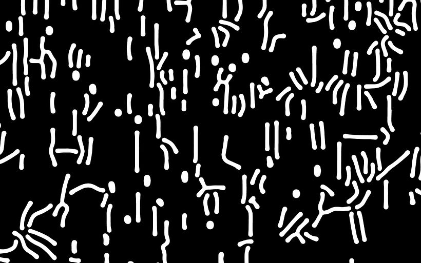 Selina Music Studios  3