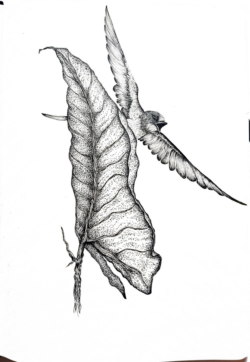 Sketches for Intaglio 0