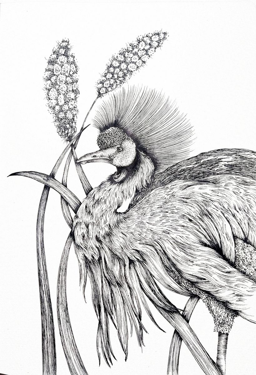 Sketches for Intaglio 2