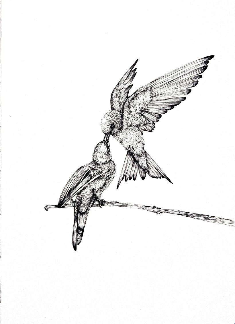 Sketches for Intaglio 2