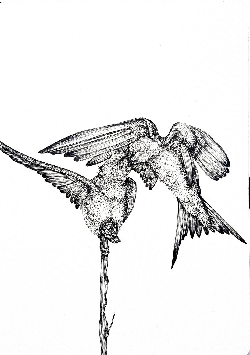 Sketches for Intaglio 3