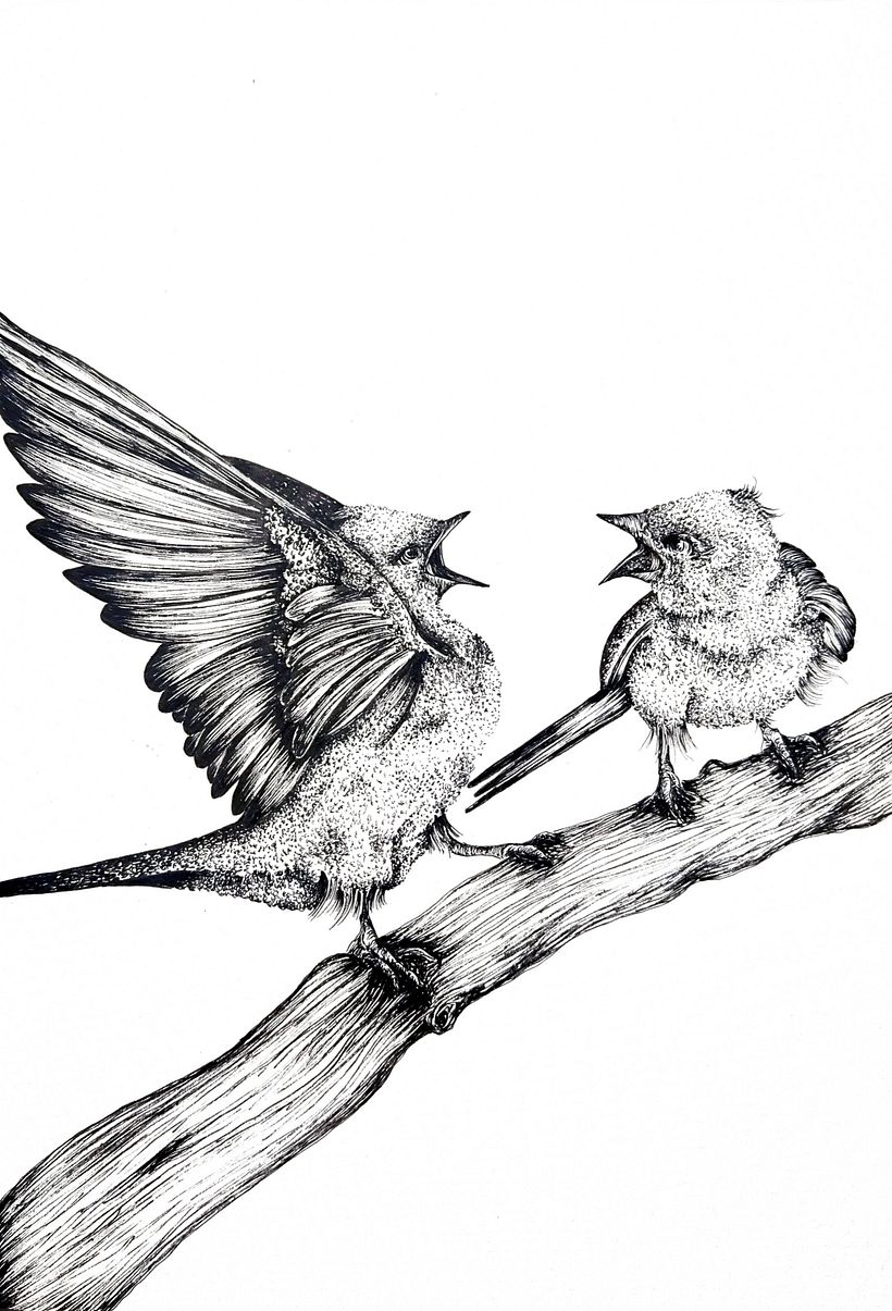 Sketches for Intaglio 4