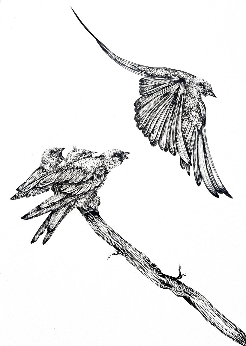 Sketches for Intaglio 5