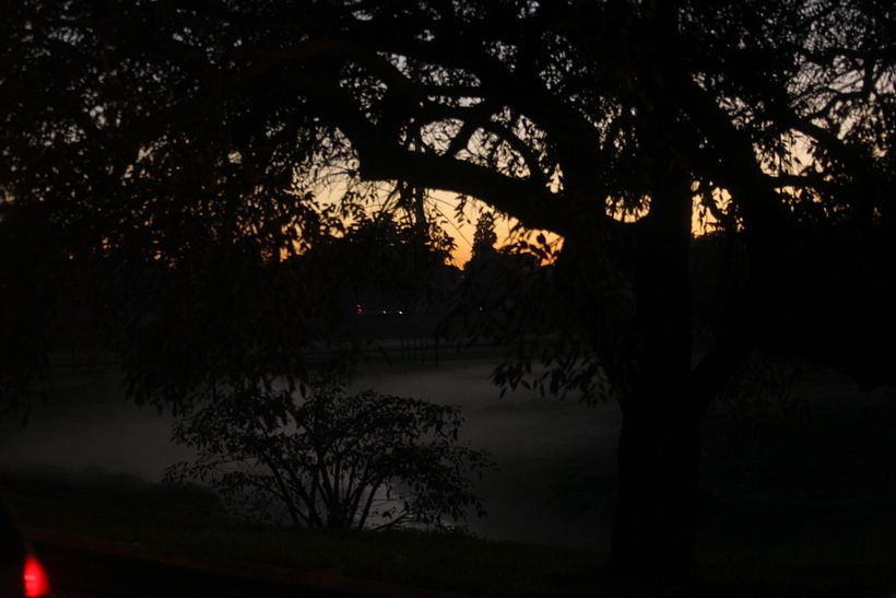 Amanecer en el Camino 3