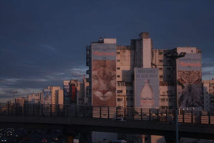 Amanecer en el Camino 10