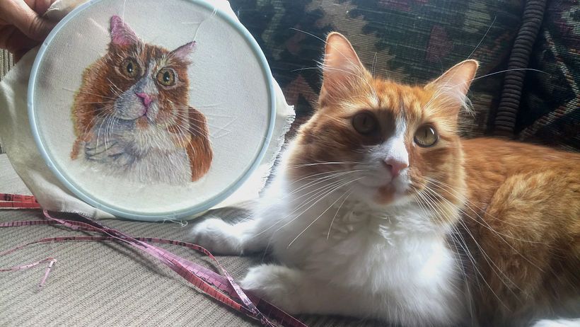 🐱¿Soy yo? 