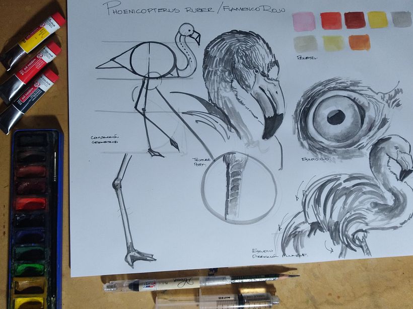 Mi Proyecto del curso: Ilustración naturalista de aves con acuarela 1