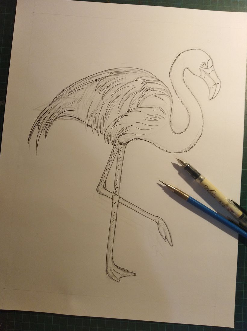 Mi Proyecto del curso: Ilustración naturalista de aves con acuarela 2