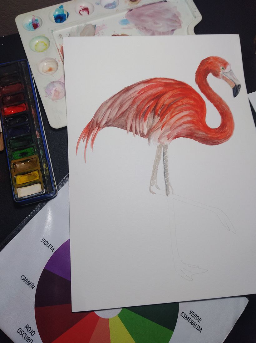 Mi Proyecto del curso: Ilustración naturalista de aves con acuarela 4