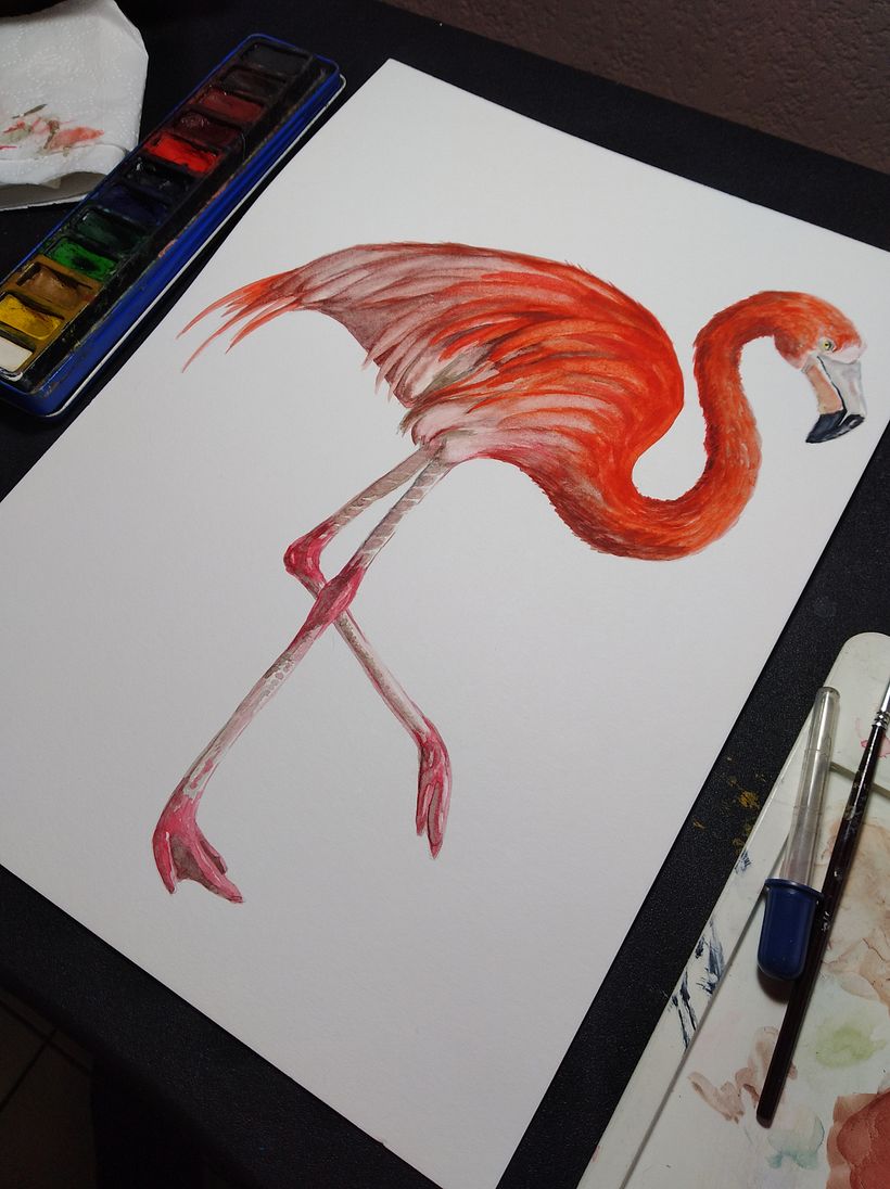 Mi Proyecto del curso: Ilustración naturalista de aves con acuarela 5