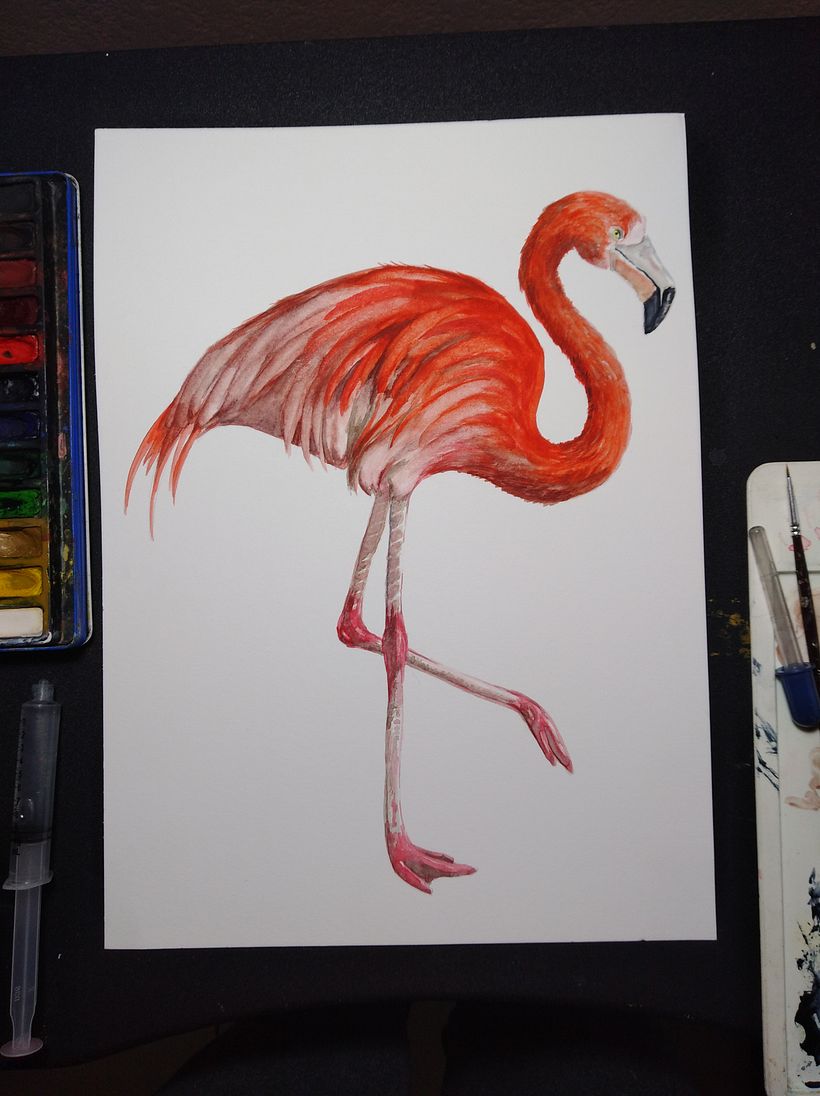 Mi Proyecto del curso: Ilustración naturalista de aves con acuarela 6