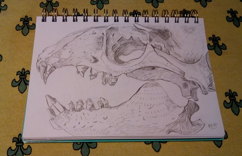 Mi Proyecto del curso: Cuadernos de dibujo: encuentra un lenguaje propio 3