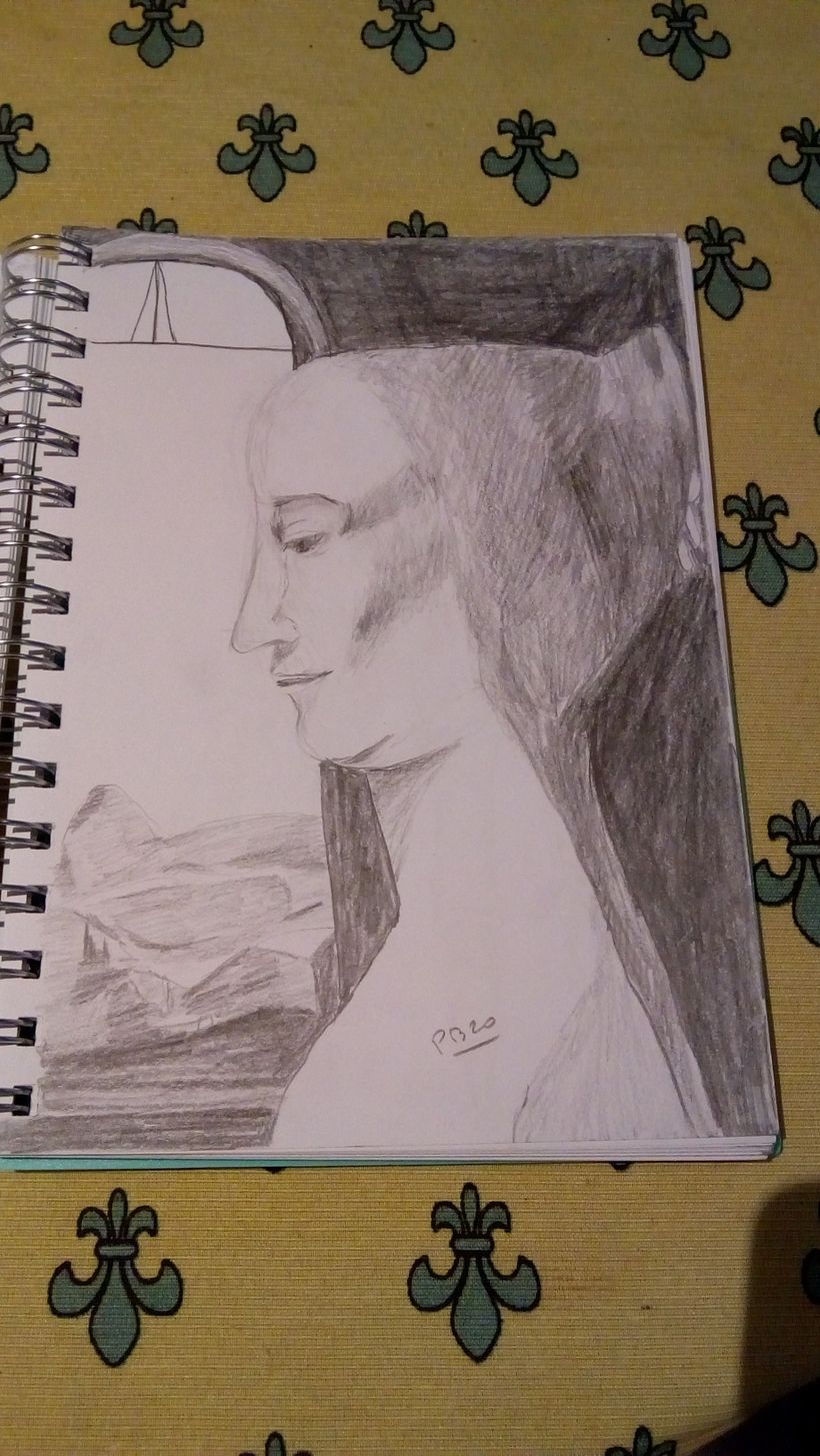 Mi Proyecto del curso: Cuadernos de dibujo: encuentra un lenguaje propio 4
