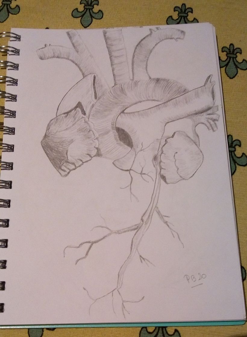 Mi Proyecto del curso: Cuadernos de dibujo: encuentra un lenguaje propio 5