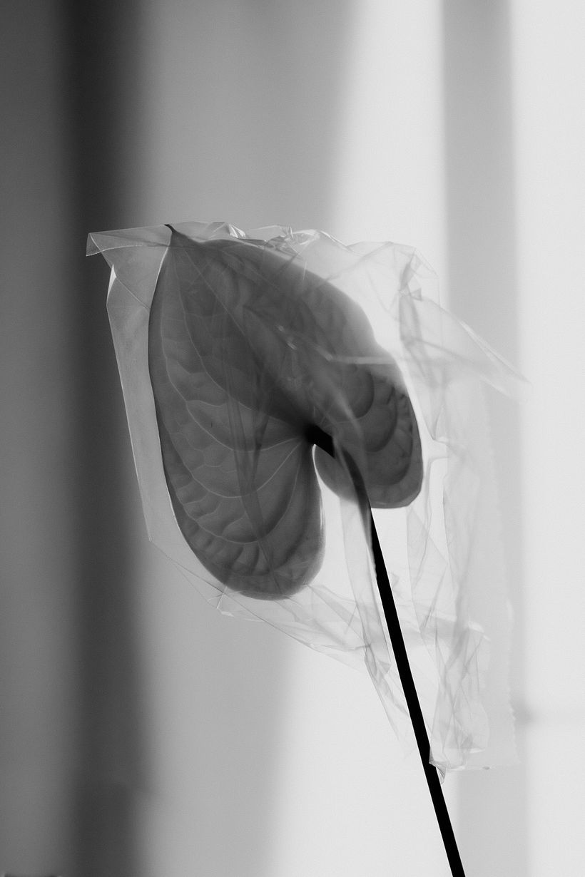 Activated Protocol - Vein Magazine 5