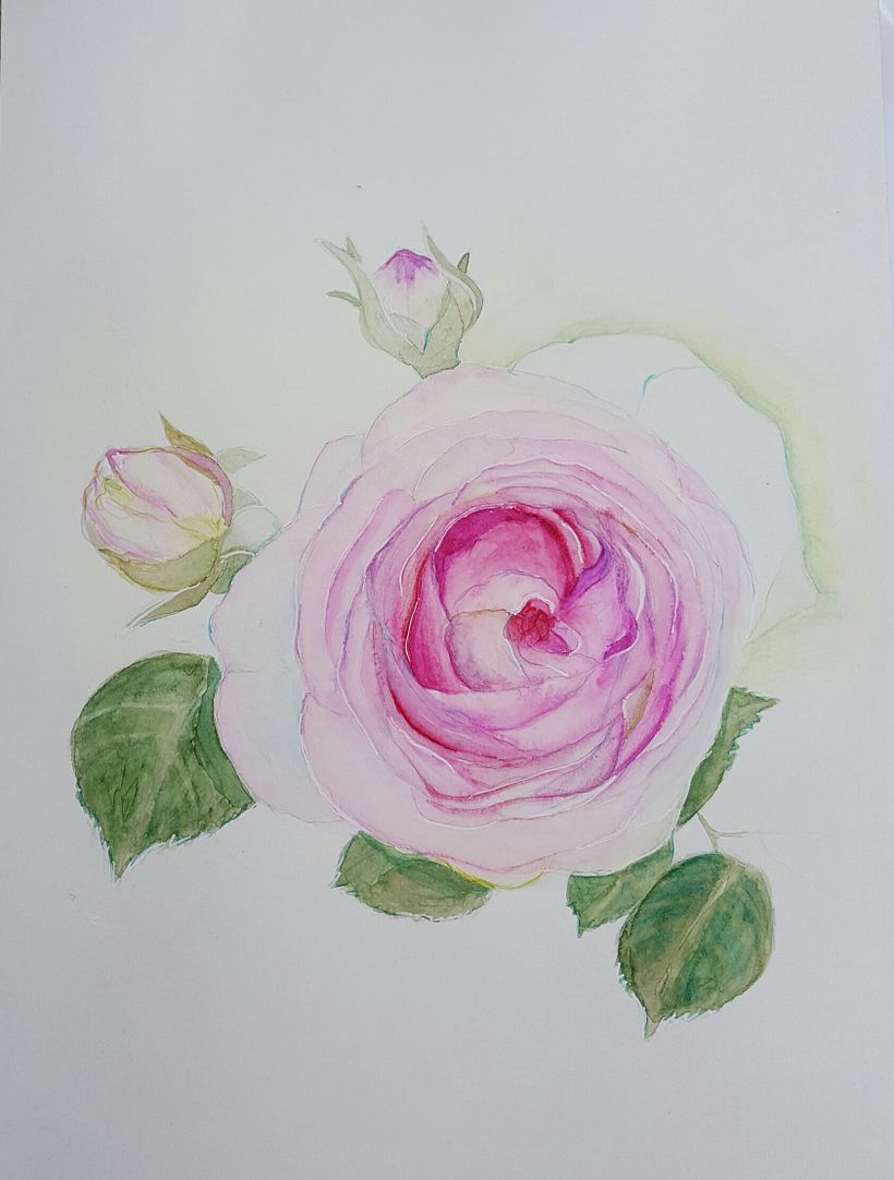 Mein Kursprojekt: Botanische Illustration mit Wasserfarben 1