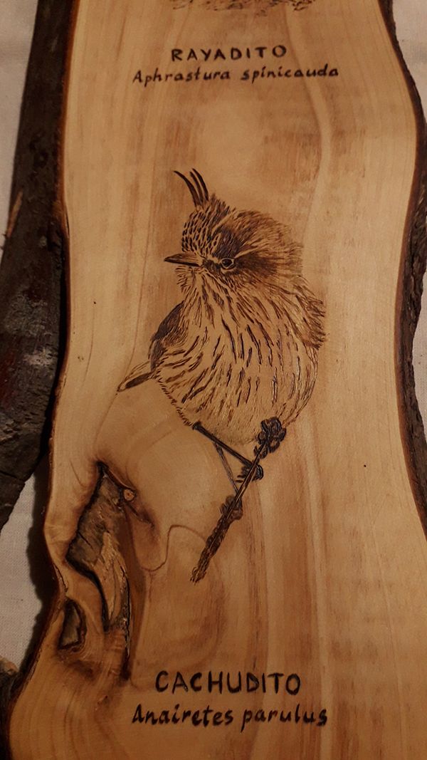 Grabado de aves en madera 4