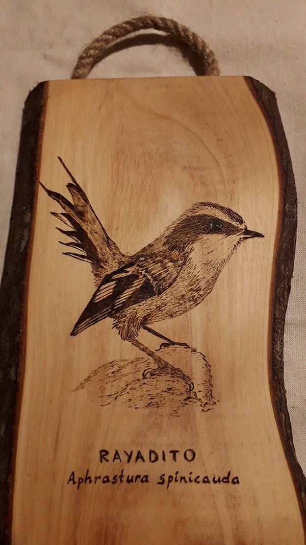 Grabado de aves en madera 5