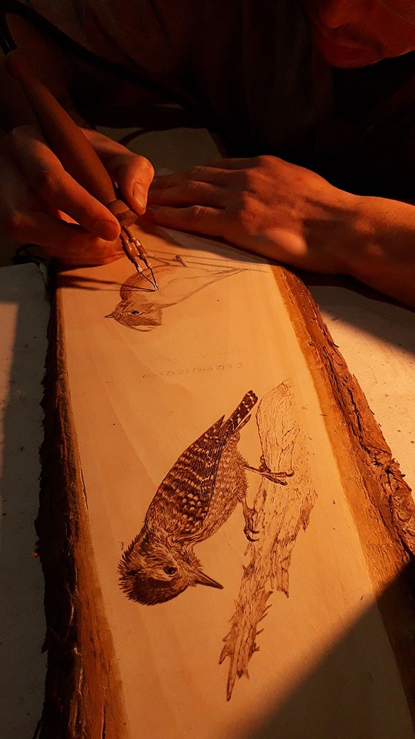 Grabado de aves en madera 3