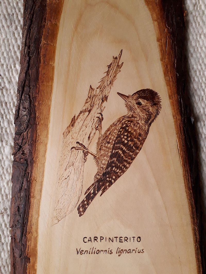 Grabado de aves en madera 1