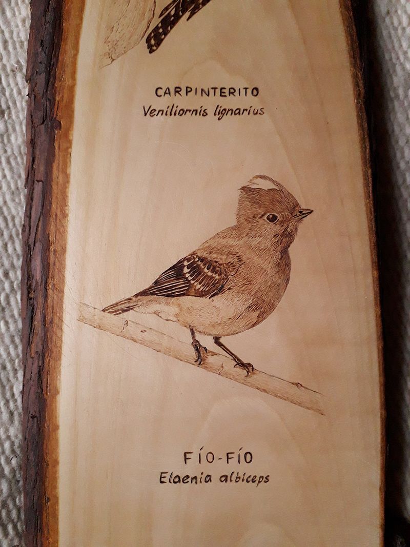 Grabado de aves en madera 2