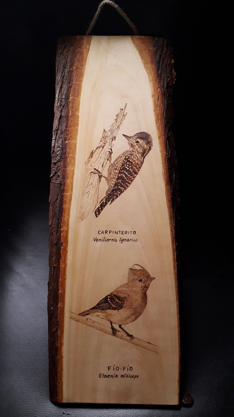 Grabado de aves en madera 0