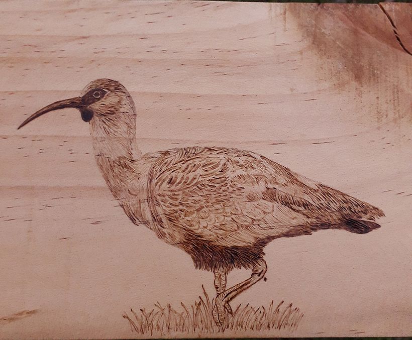 Grabado de aves en madera 8