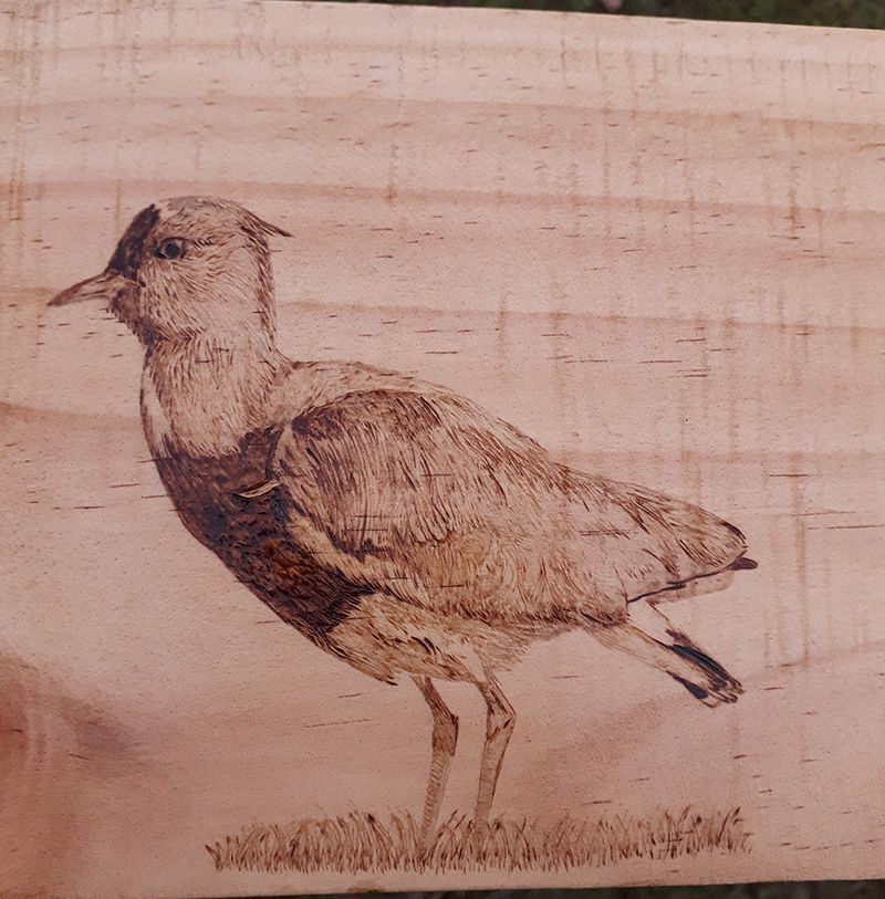 Grabado de aves en madera 9