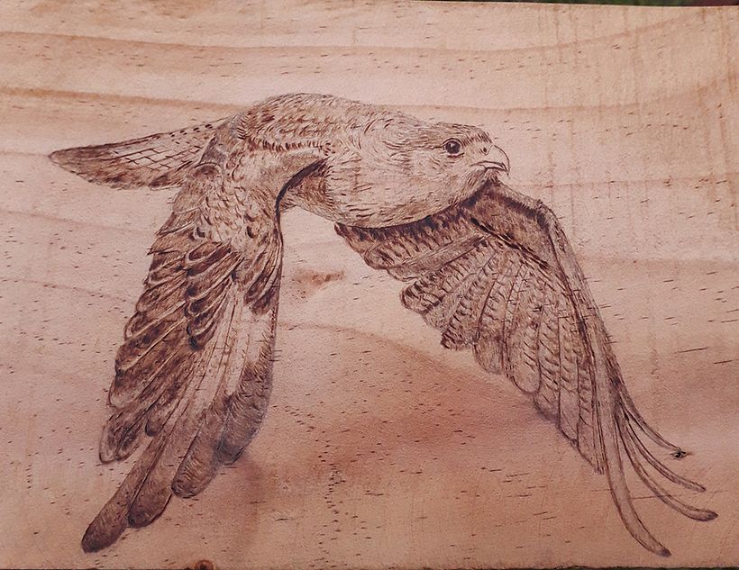 Grabado de aves en madera 10