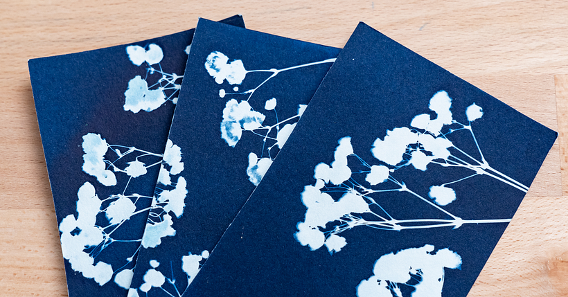 Cyanotype: Simple Materials to Print Images with Light 1