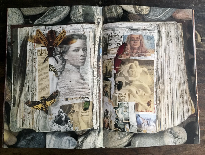 Peter Beard
