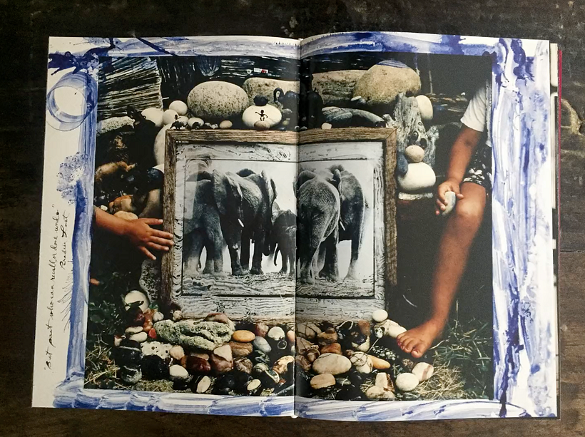 Peter Beard