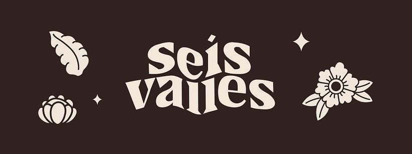 Seis Valles - Cerveza Artesanal 1