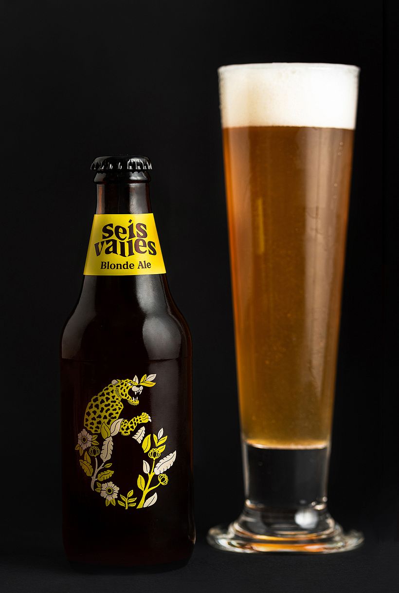 Seis Valles - Cerveza Artesanal 3