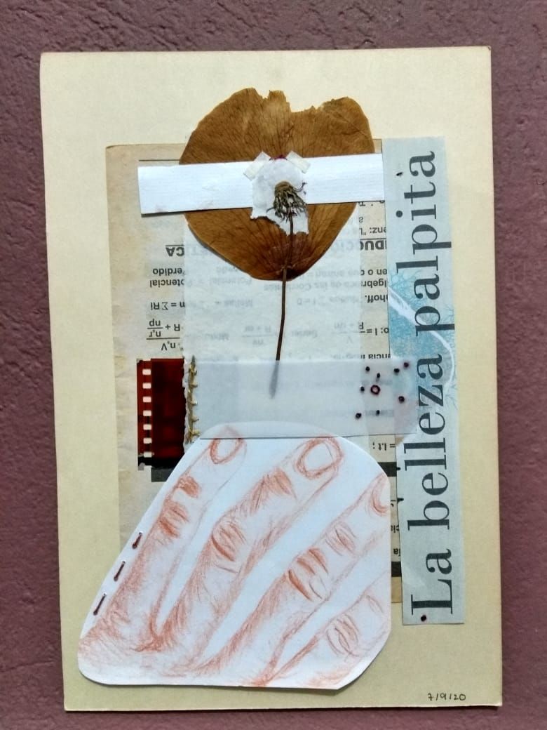 Técnicas de bordado experimental sobre papel 0