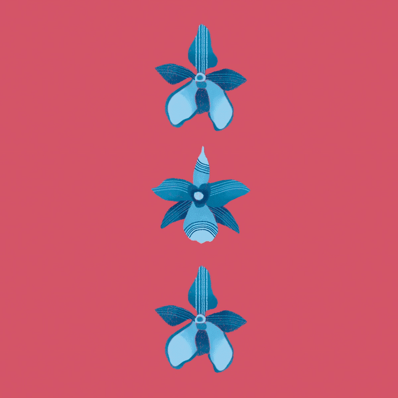 Mi Proyecto del curso: Ilustración flat con Photoshop 1